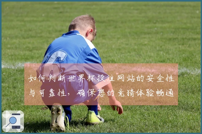 如何判断世界杯投注网站的安全性与可靠性，确保您的竞猜体验畅通无忧