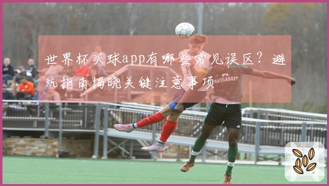 世界杯买球app有哪些常见误区？避坑指南揭晓关键注意事项